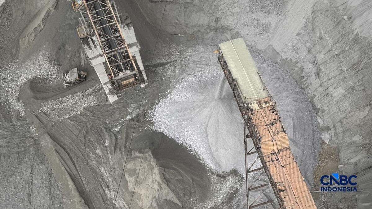 Freeport Siap Gelontorkan Rp72 Triliun untuk Tambang Bawah Tanah Kucing Liar