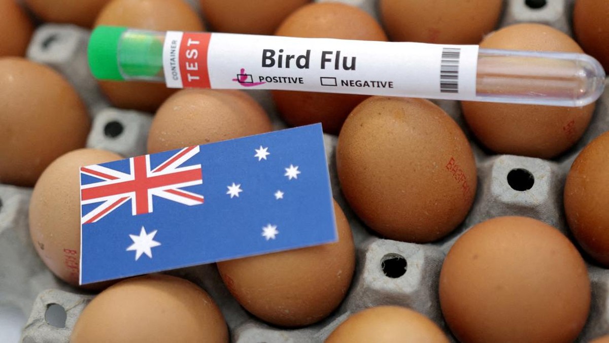 Australia Umumkan Kasus Pertama Flu Burung H5N1 pada Mamalia