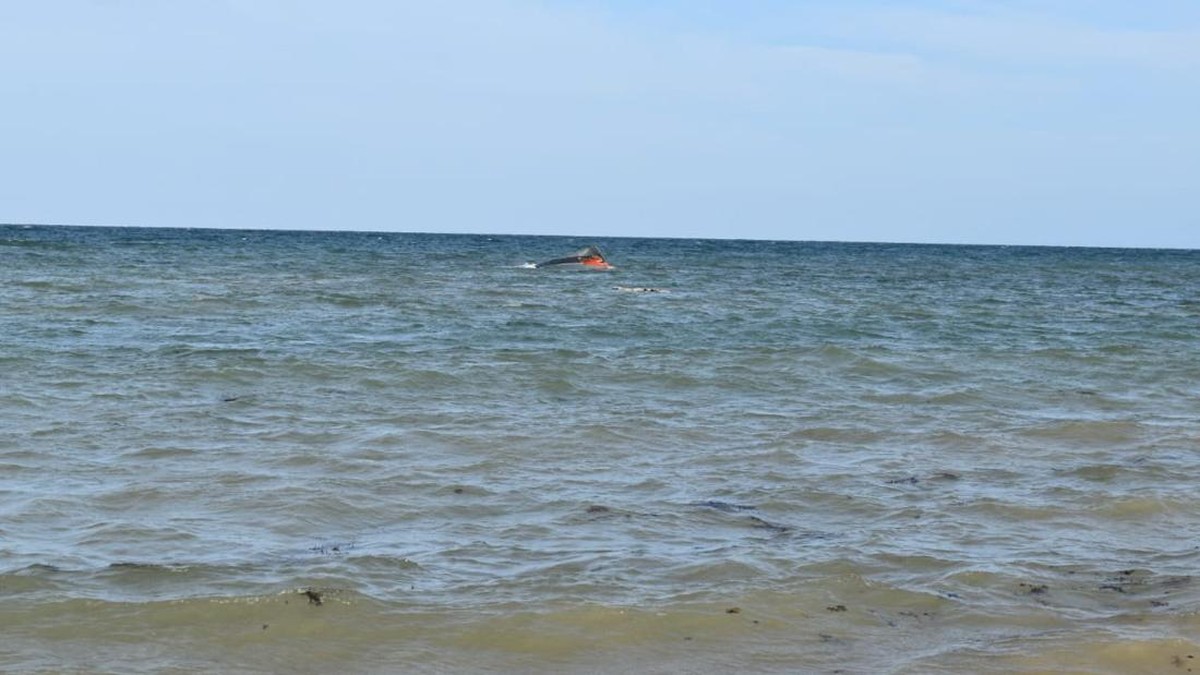 Tragedi Migran Djibouti: 139 Nyawa Melayang di Laut
