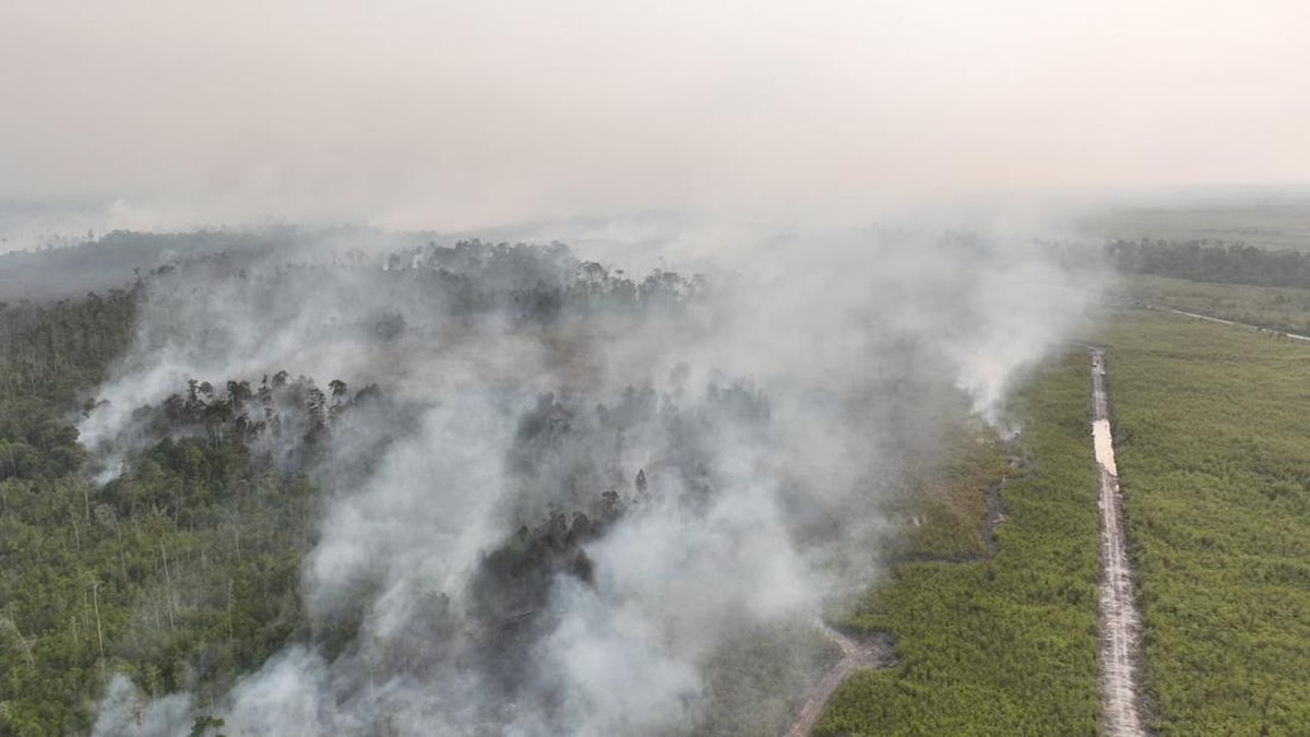 Polri Tetapkan 72 Tersangka Karhutla, Ini Modus Pembakaran Lahan
