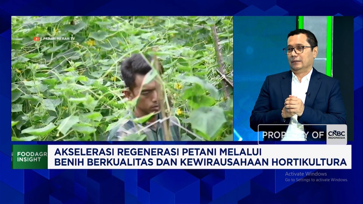 Inovasi Benih Sayur Tahan Hama dan Cuaca Ekstrem Bikin Petani Cuan