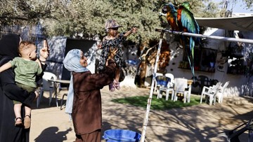 Kebun Binatang Nuseirat Kembali Dibuka, Hiburan Baru Anak-anak Gaza