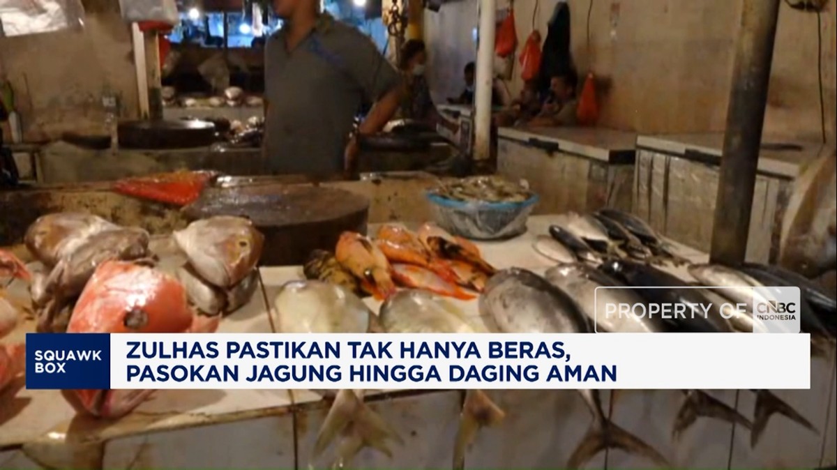 Zulhas Jamin Stok Jagung dan Daging Nasional Aman Melebihi Kebutuhan