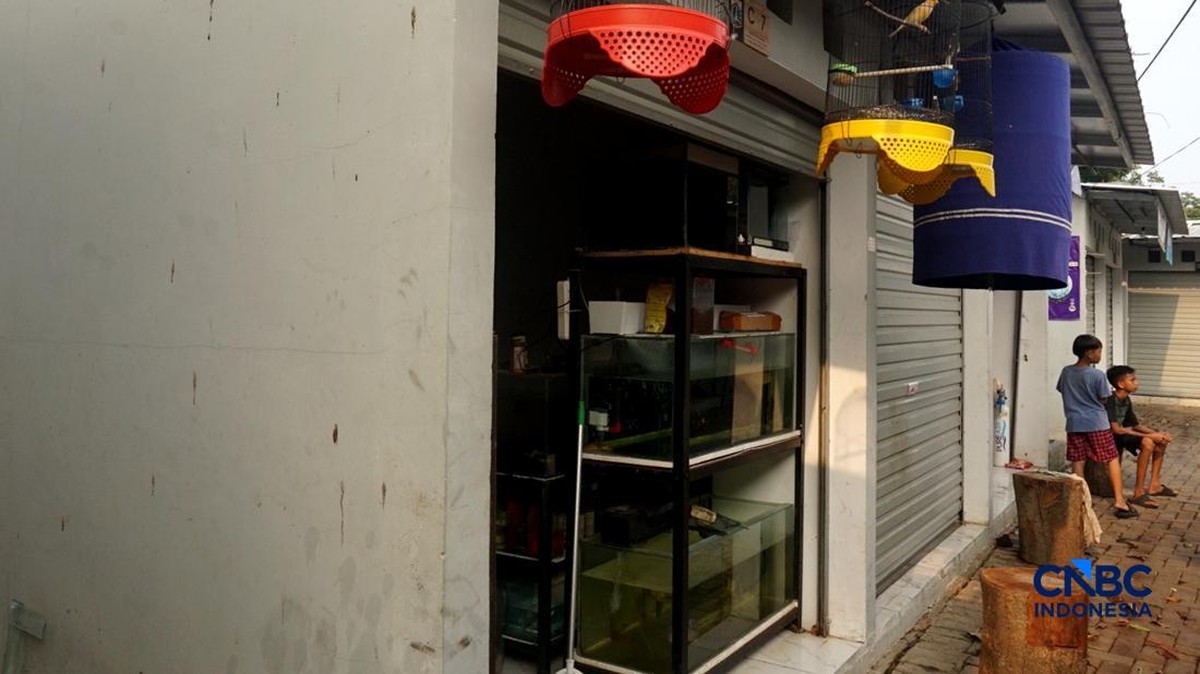 Relokasi Pasar Barito: Sentra Baru Sepi, Pedagang Hamster Prihatin
