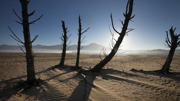 Super El Niño Diprediksi Picu Kerugian Ekonomi Afrika Rp327 Triliun