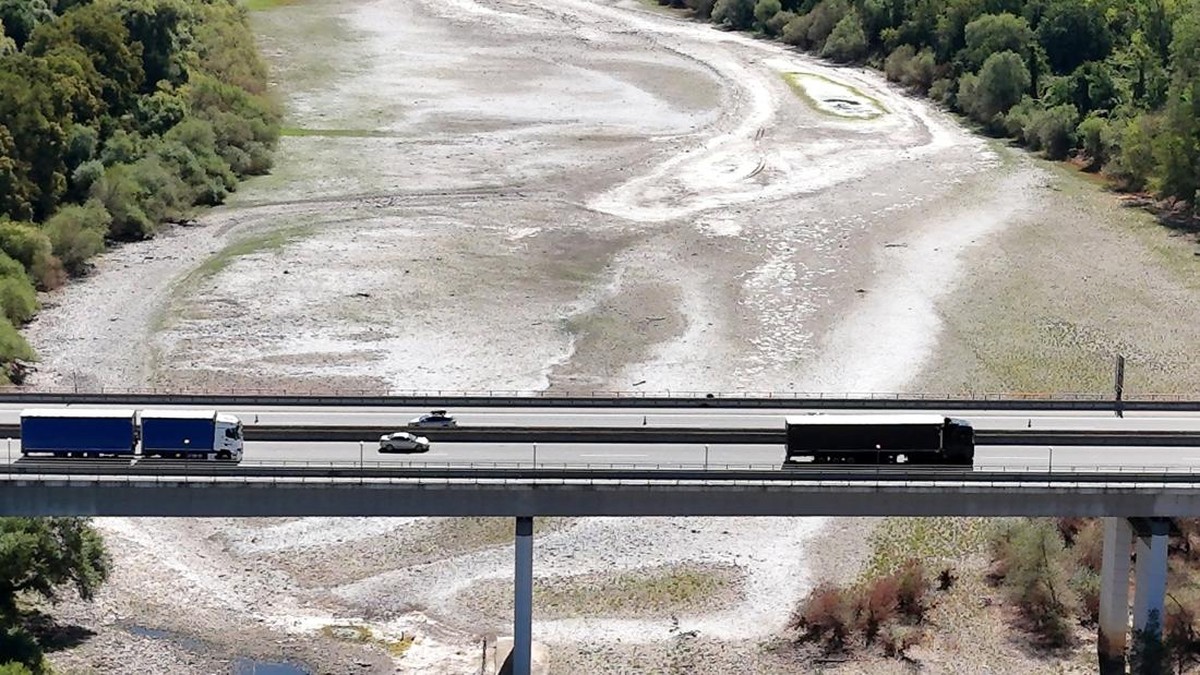 Sungai Rhine Kritis: Saat Gelombang Panas Merembet ke Hidup Sehari-hari