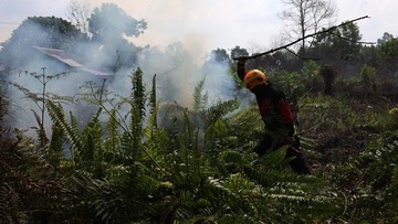 Asap Karhutla Kalbar Mengancam Malaysia, BMKG Beri Peringatan