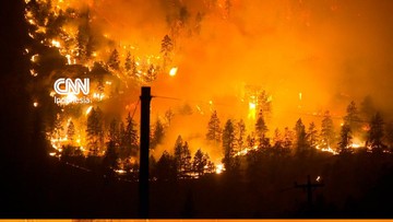 Kebakaran Hutan Kanada Paksa 20 Ribu Warga Mengungsi