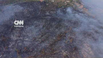 Kebakaran Hutan di Gargano Memaksa Evakuasi Massal Turis
