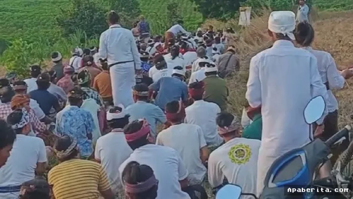 Mesuji — Umat Hindu Bali Gelar Doa Bersama di Lokasi Penyembelihan Tapir