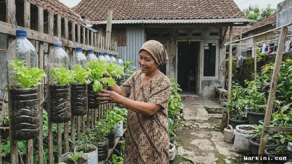 Botol Air Mineral — 9 Trik Menanam Selada Renyah dan Lebat