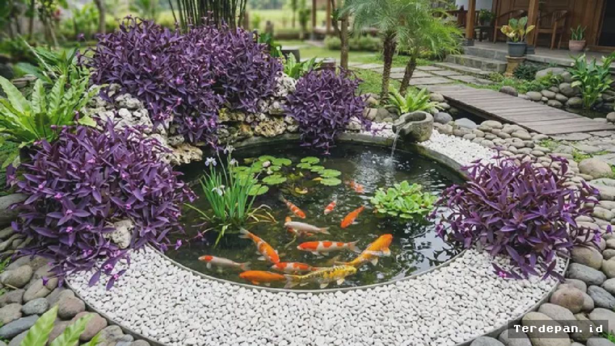 JAKARTA — Peneliti LIPI Kembangkan Tanaman Pinggir Kolam Ungu Penyerap Polutan