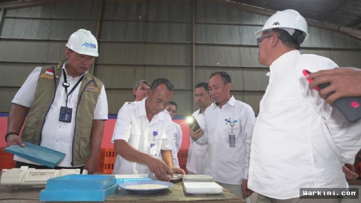 Jayapura — BULOG Turun Tangan, Kualitas Beras Dijamin Sampai Ujung Timur No Debat!