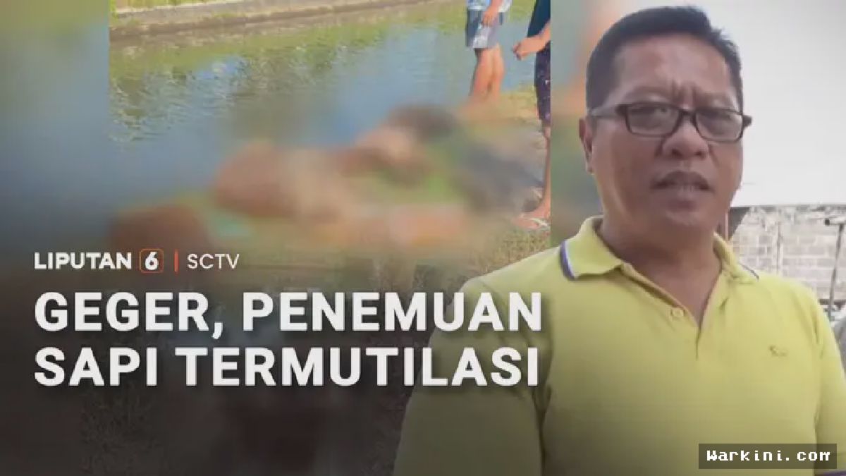 Jember — Enam Potong Sapi Berserakan di Pinggir Sungai, Diduga Curian