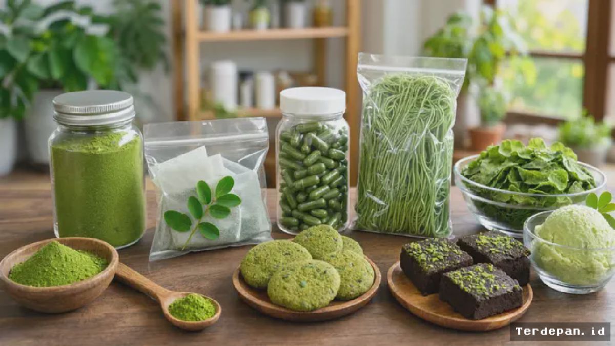 Peluang Emas Petani Lokal Olah Daun Kelor Jadi Produk Bernilai Tinggi