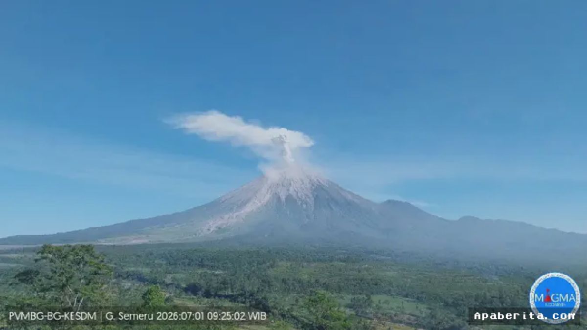 Lumajang — Gunung Semeru Kembali Erupsi Pagi Ini, Kolom Abu Capai 900 Meter
