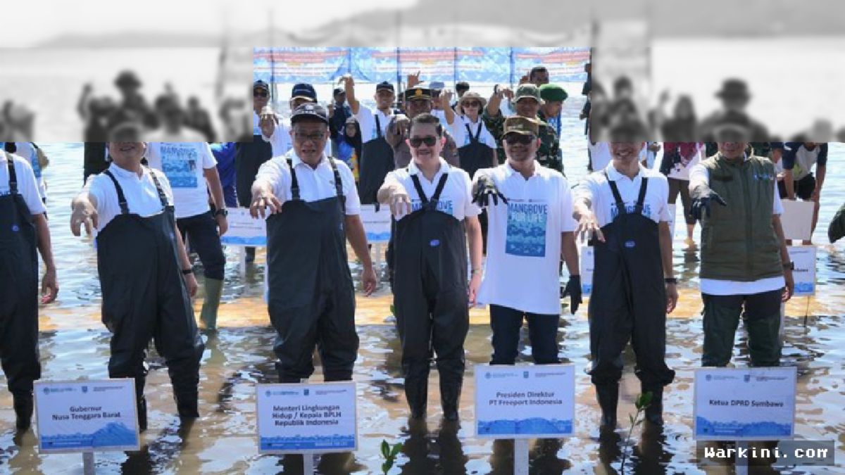 Freeport & KLH Tanam 1,5 Juta Mangrove di NTB, Kolaborasi Epic Demi Bumi