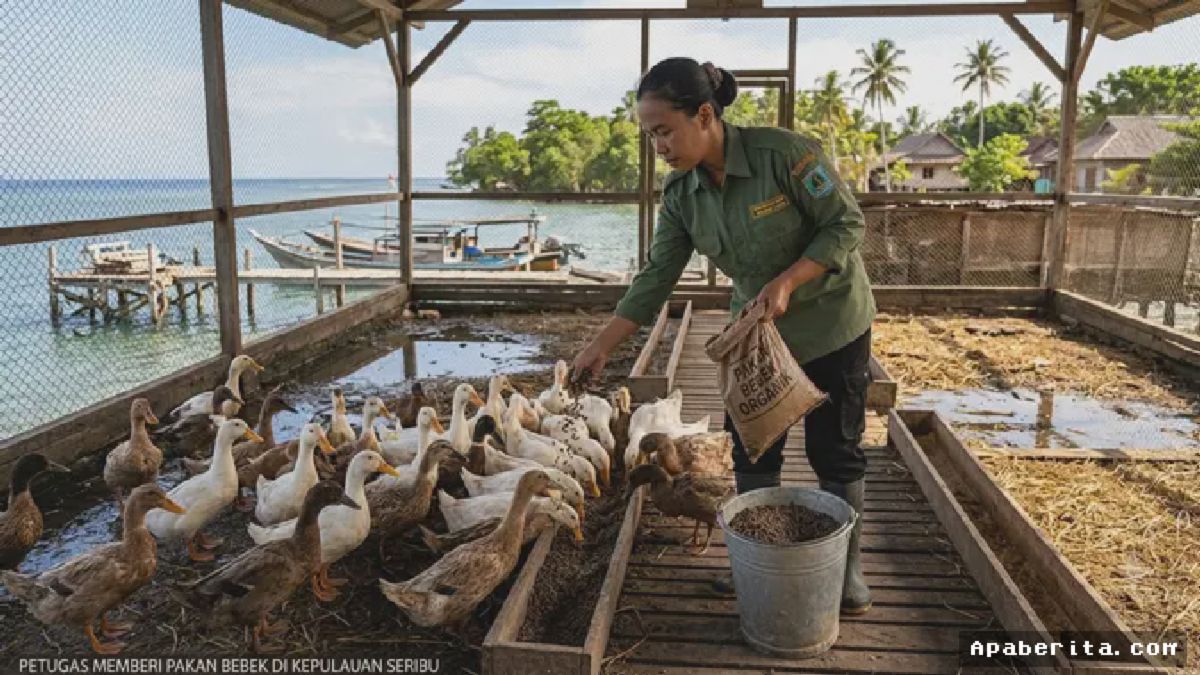 Kepulauan Seribu Olah Sampah Organik Jadi Pakan Bebek