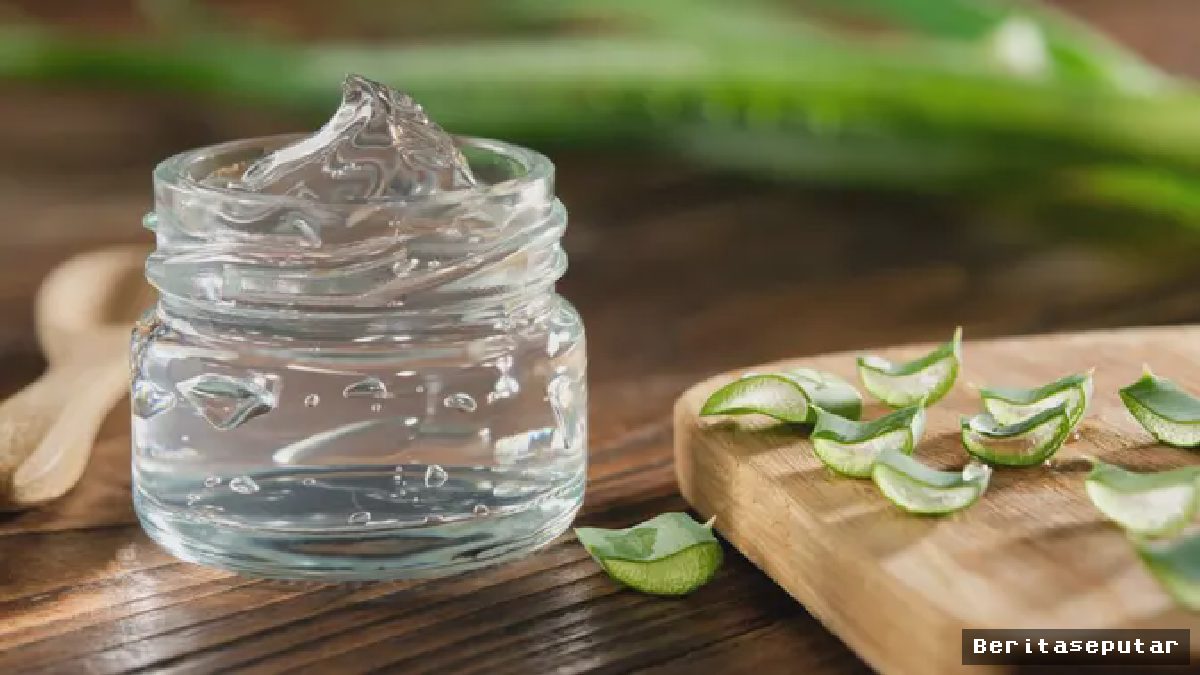 Ketika Kulit Rewel, Aloe Vera Gel Menjadi Jawaban Menenangkan