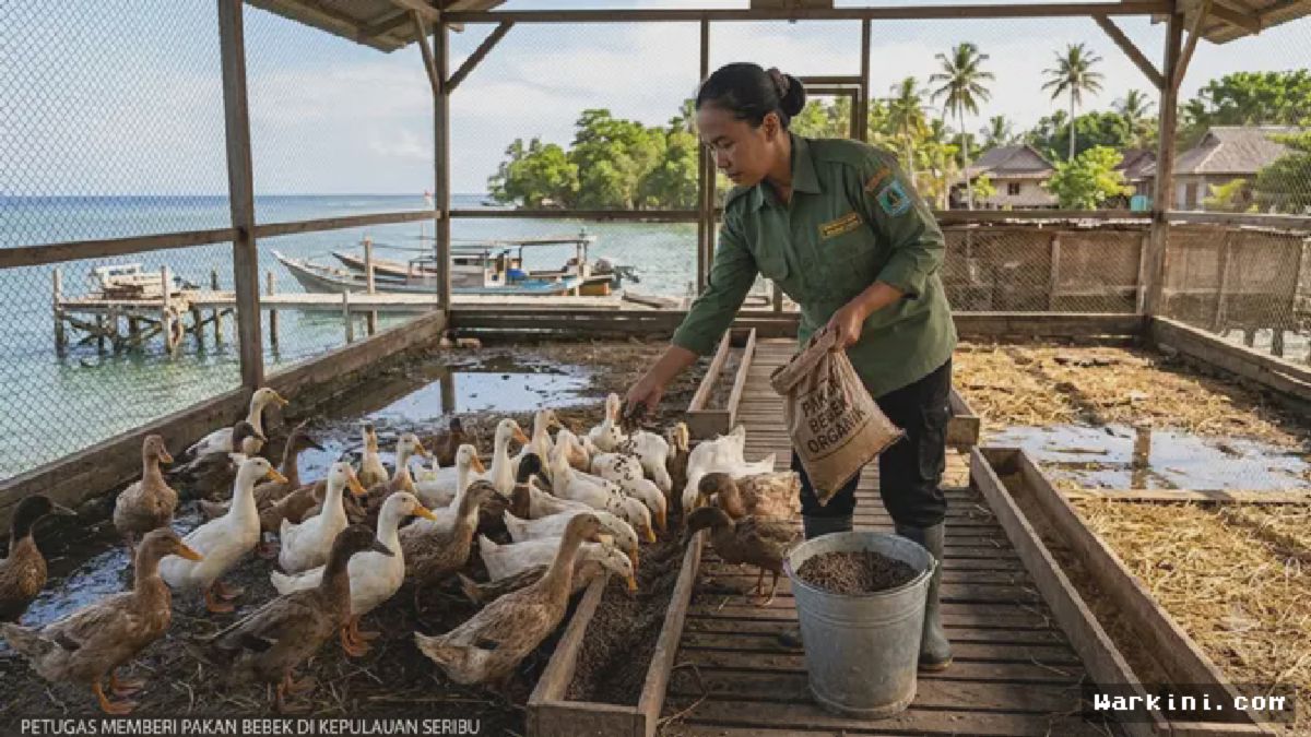 Kepulauan Seribu Olah Sampah Organik Jadi Pakan Bebek – #SampahBerkah 🦆