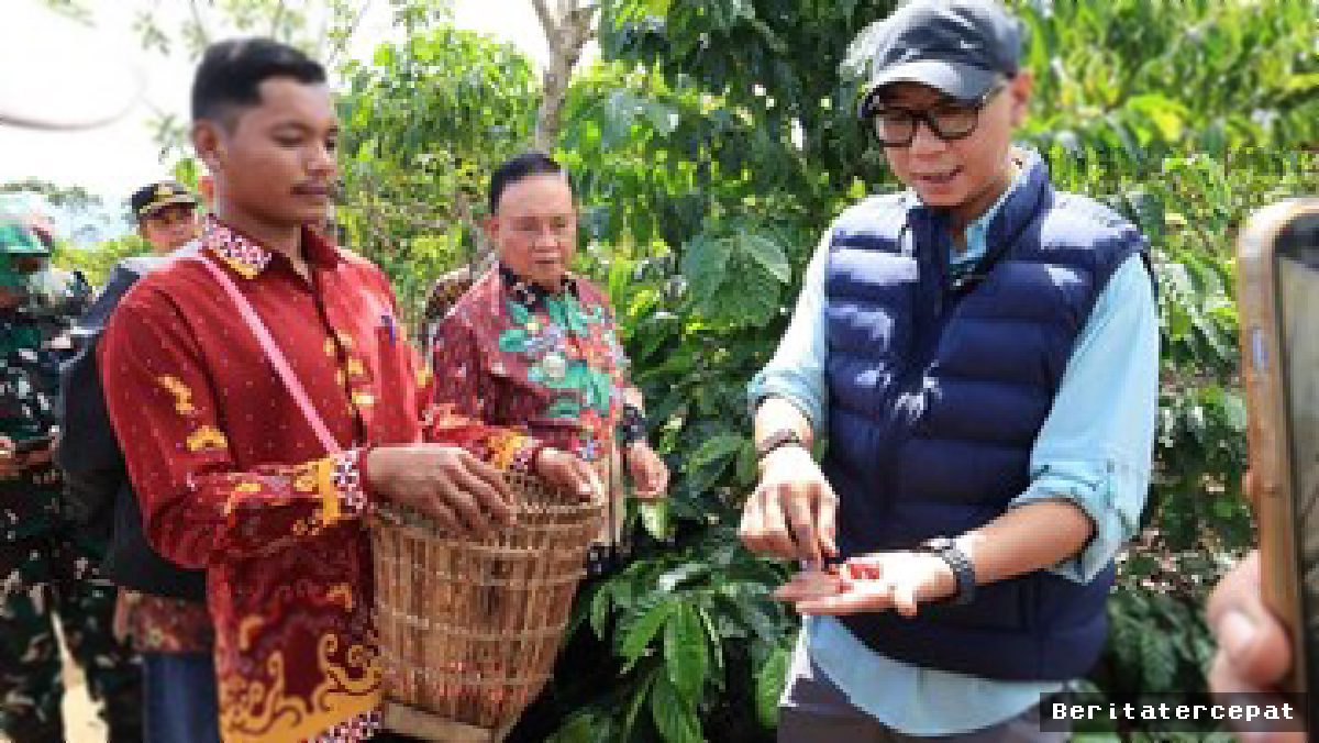 Gubernur Lampung Dorong Pupuk Hayati Genjot Produksi Kopi