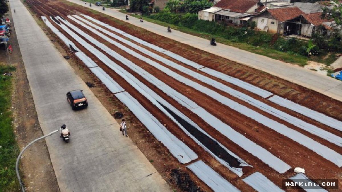 Bogor Sulap Lahan Tidur Jadi Kawasan Pertanian Super Keren