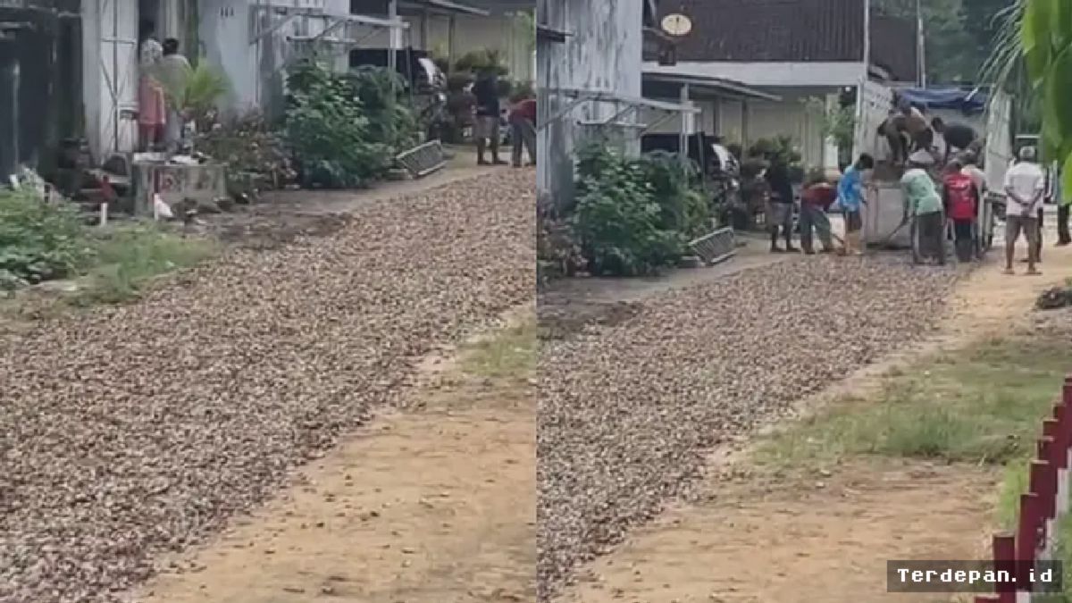 Lampung Timur — Warga Tambal Jalan Rusak Pakai Cangkang Kerang Gemilang