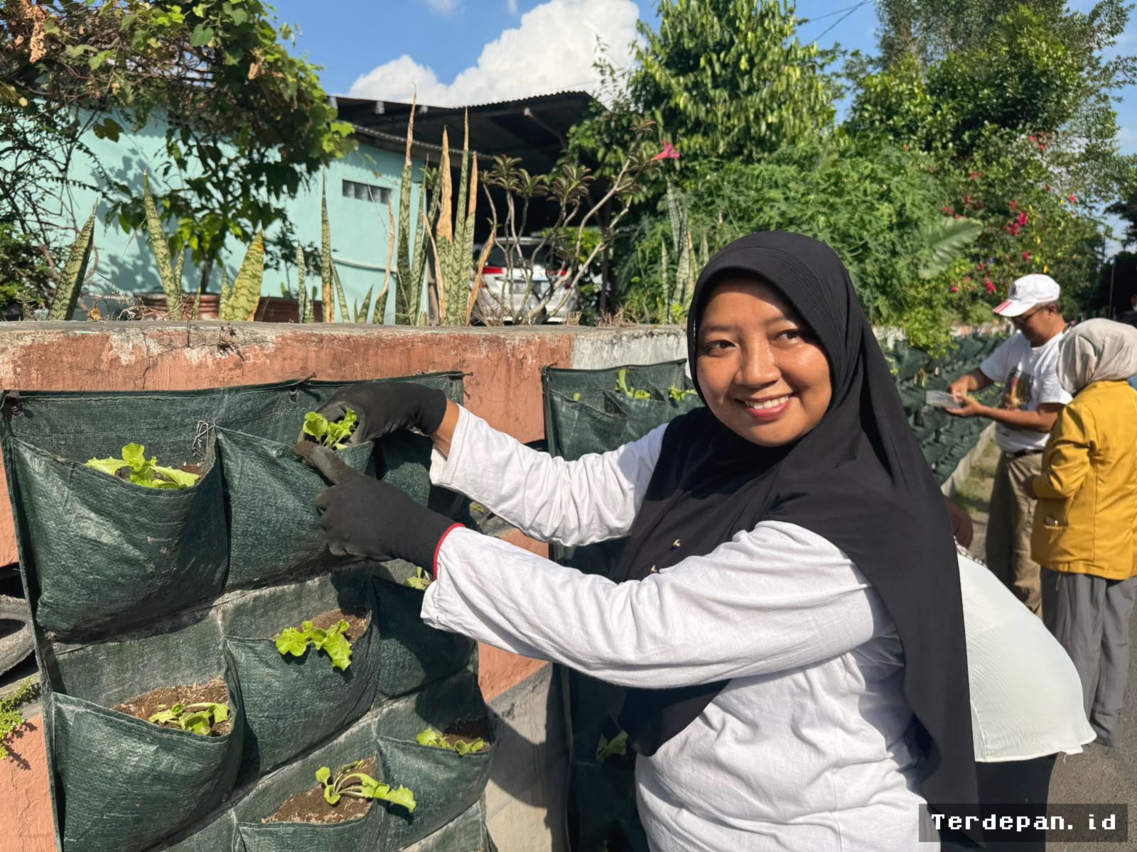Kelompok Tani Kota Jogja Panen Puluhan Jenis di Lahan Sempit