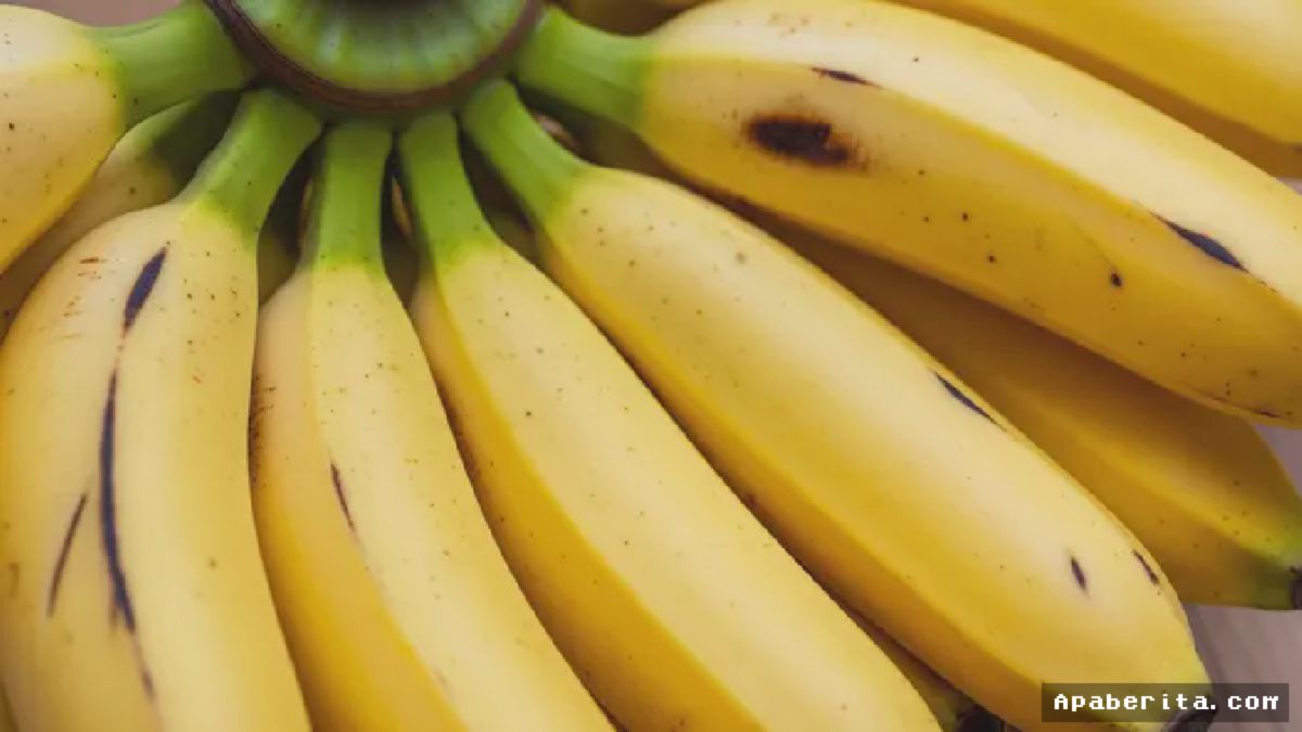 Jakarta — Trik Olah Pisang Raja Harum Tanpa Pahit Viral di Medsos