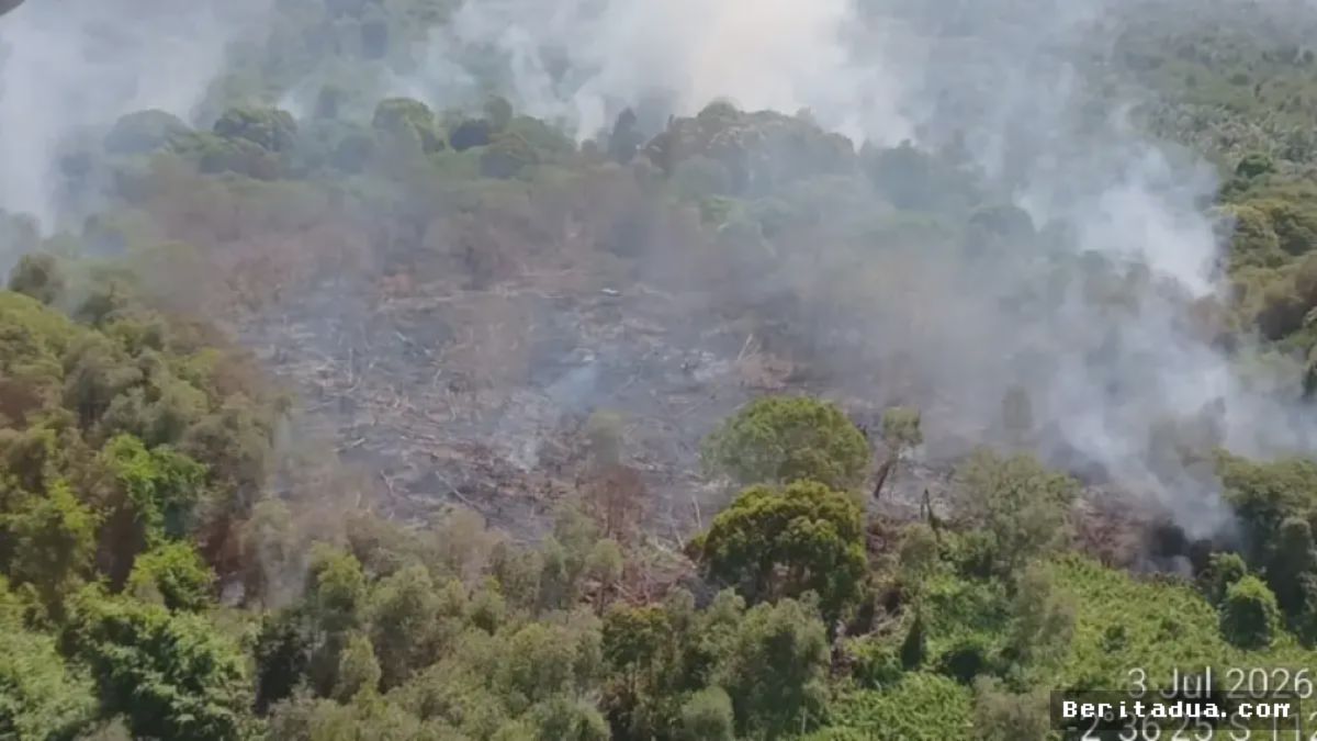 KOTIM — Kebakaran Meluas Sulit Dijangkau, BPBD Minta Helikopter Water Bombing