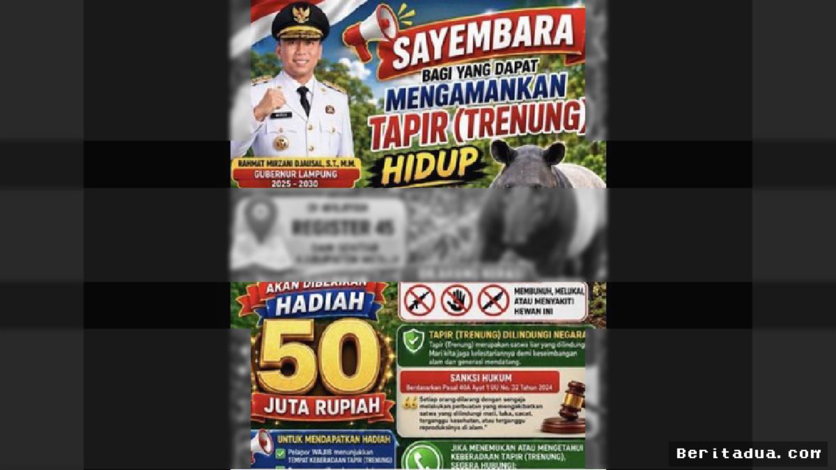 Lampung — Gubernur Tawarkan Hadiah Rp50 Juta untuk Tangkap Tapir Hidup