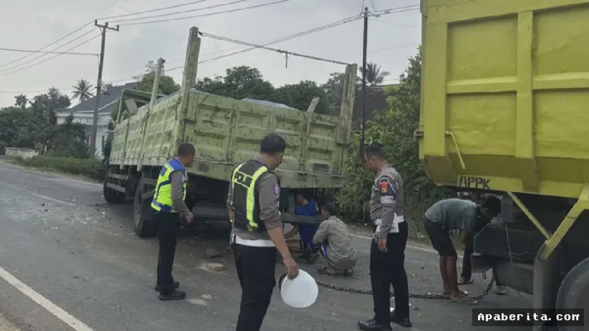 Dua Kendaraan Besar Tabrakan di Jalinsum, Dua Korban Kritis