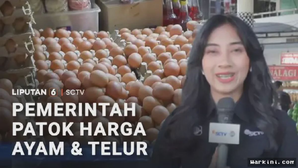 Jakarta — Pemerintah Tetapkan Harga Acuan Ayam Rp19.500, Telur Rp24.000