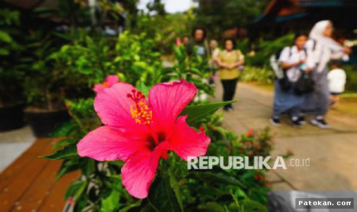 FLONA 2026 Pamerkan Kekayaan Flora dan Fauna Nusantara di Jakarta