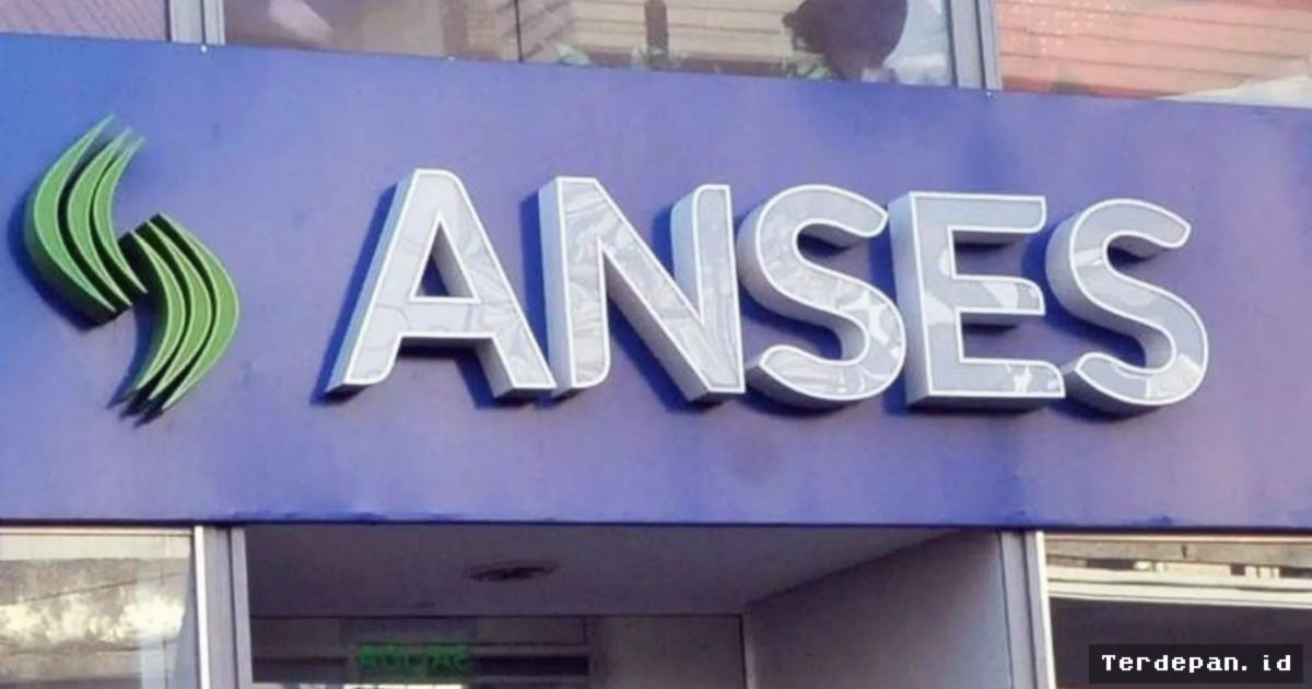 ANSES Luncurkan Layanan Unduh CODEM Daring untuk Akses Asuransi Kesehatan