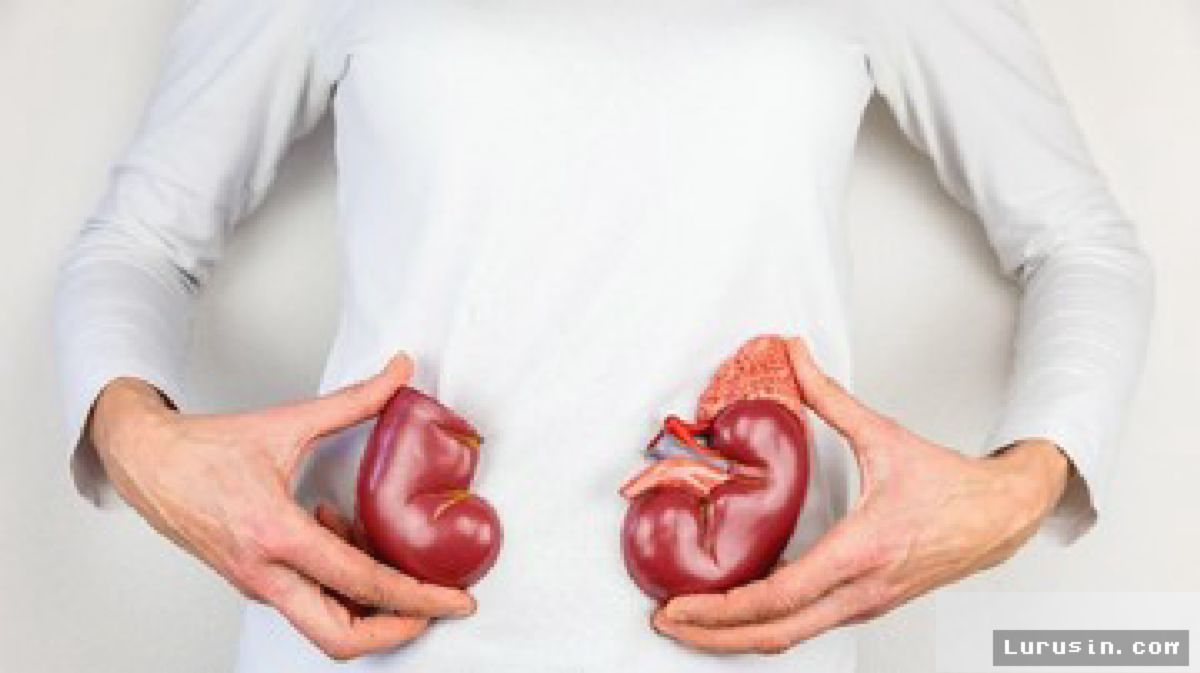 Pasien Ginjal AS Bertahan Sembilan Bulan Berkat Transplantasi Organ Babi