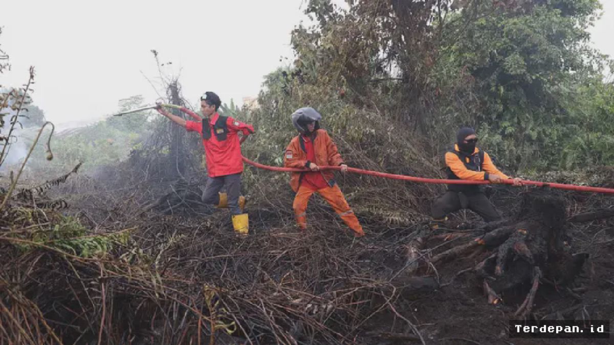 Karhutla Hanguskan 107 Ribu Hektare Hutan dan Lahan di Indonesia