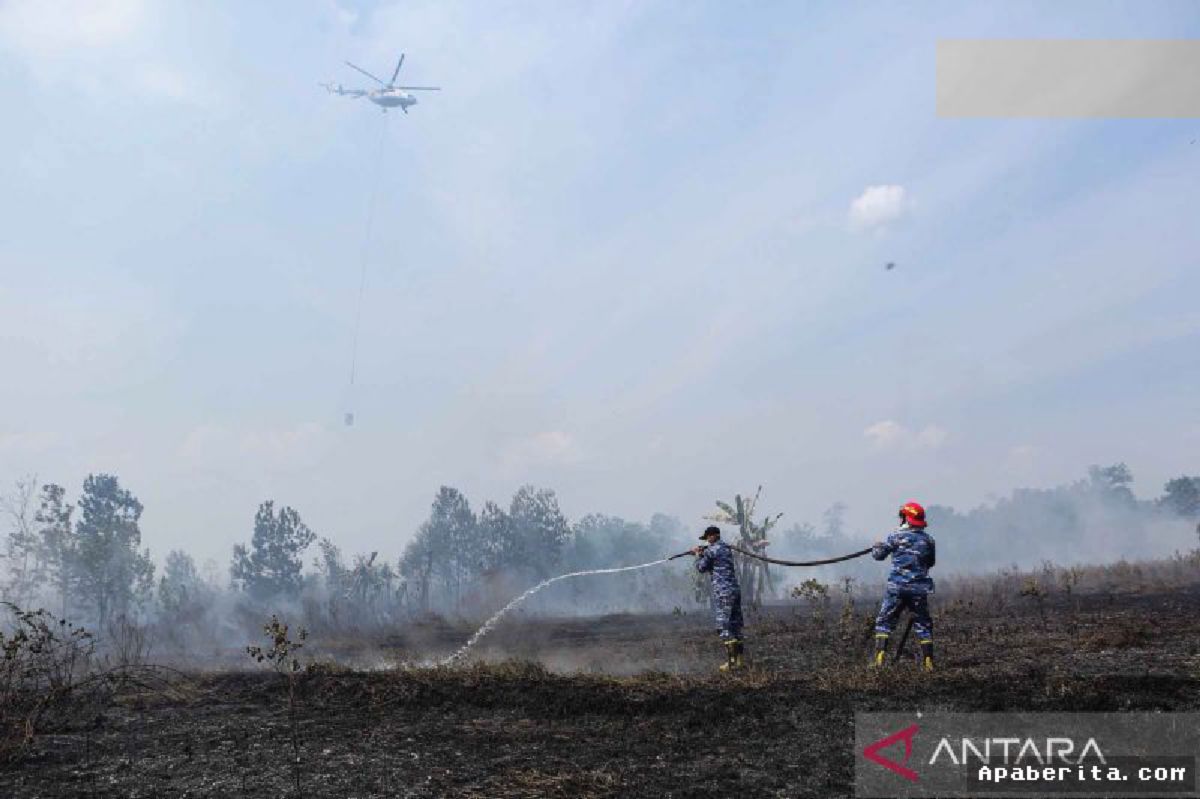 TNI AU Kerahkan Pasukan Padamkan Karhutla Gambut di Banjarbaru