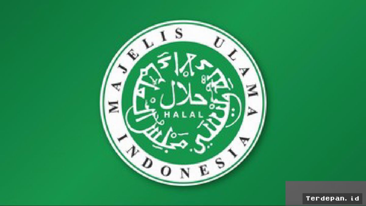Ketua Fatwa MUI Jatim Tanggapi Santai Umpatan Bos Sound Horeg