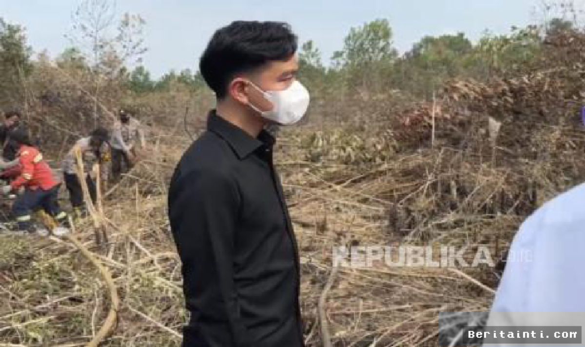 Pemerintah Percepat Penanganan Insiden Keracunan MBG dan Karhutla Nasional
