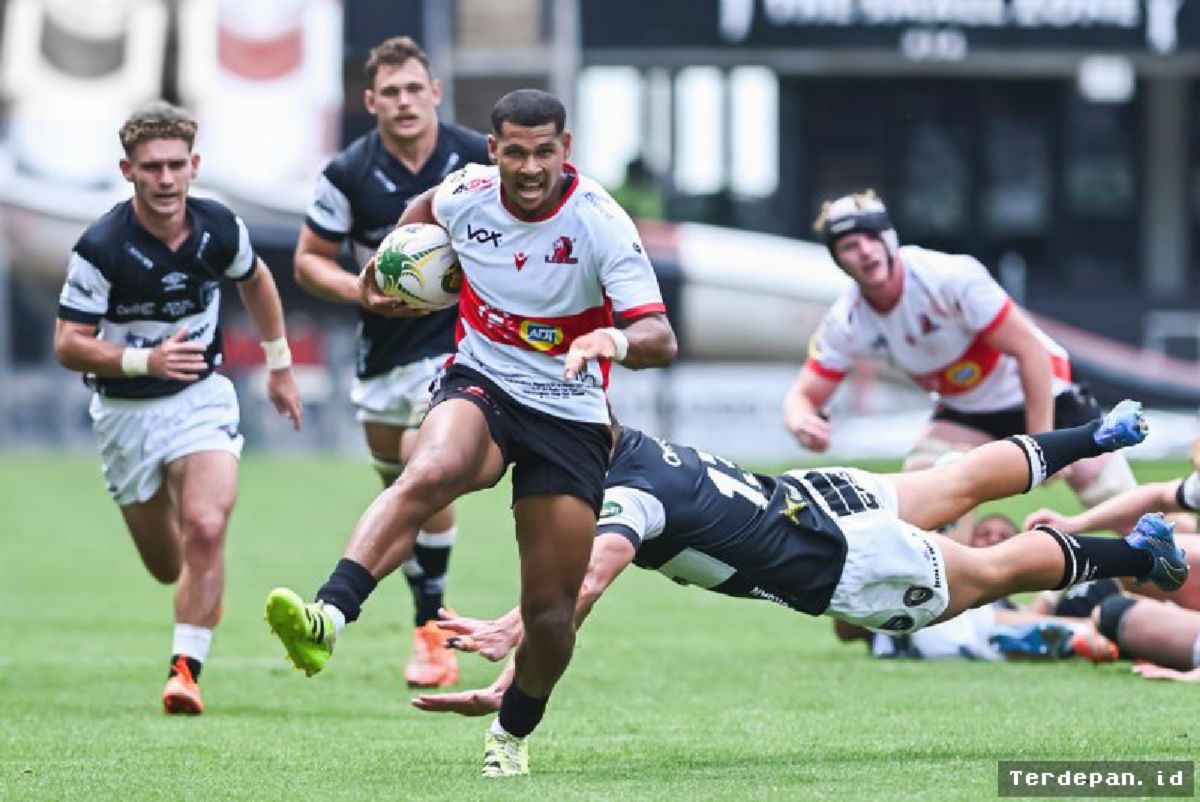 Stormers Rekrut Haashim Pead, Persaingan Scrum-half Liga 2026/27 Memanas