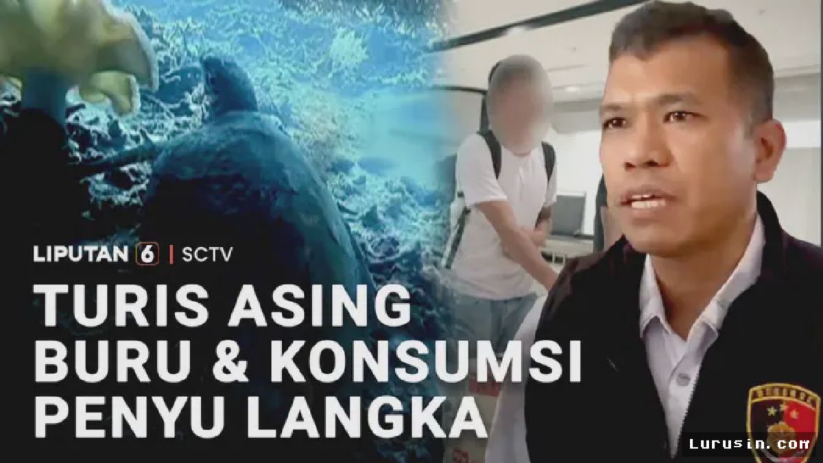 Raja Ampat — Turis Asing Ditangkap Akibat Memburu Penyu Sisik Langka