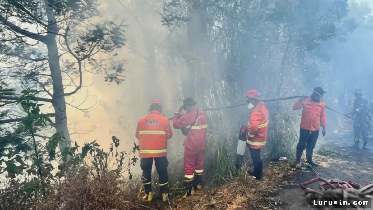 BROMO — Pemadaman Karhutla Bromo Terhambat Angin Kencang dan Abu Semeru