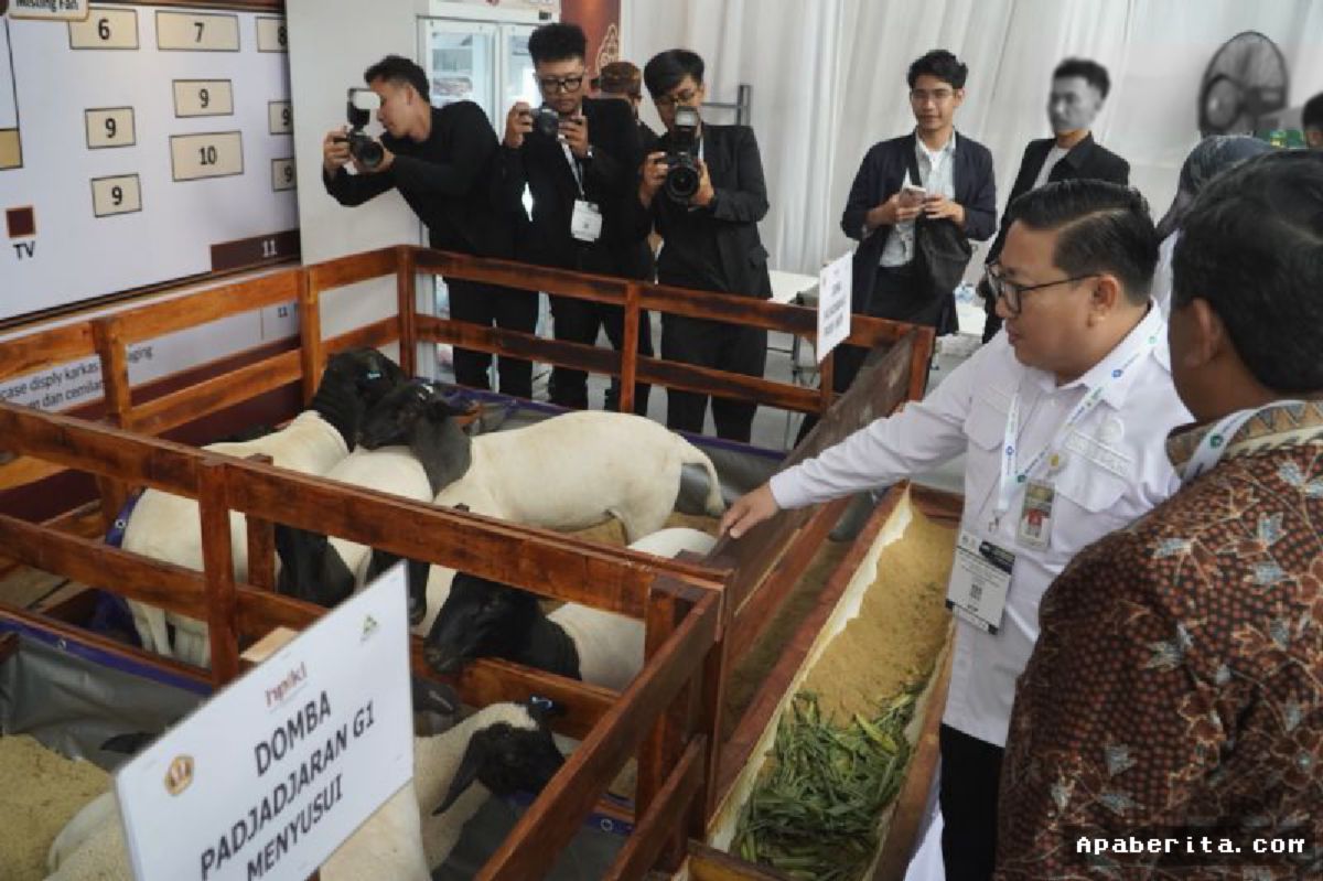 Kementan Dorong Ekspor Peternakan Nasional Lewat Ajang ILDEX 2026