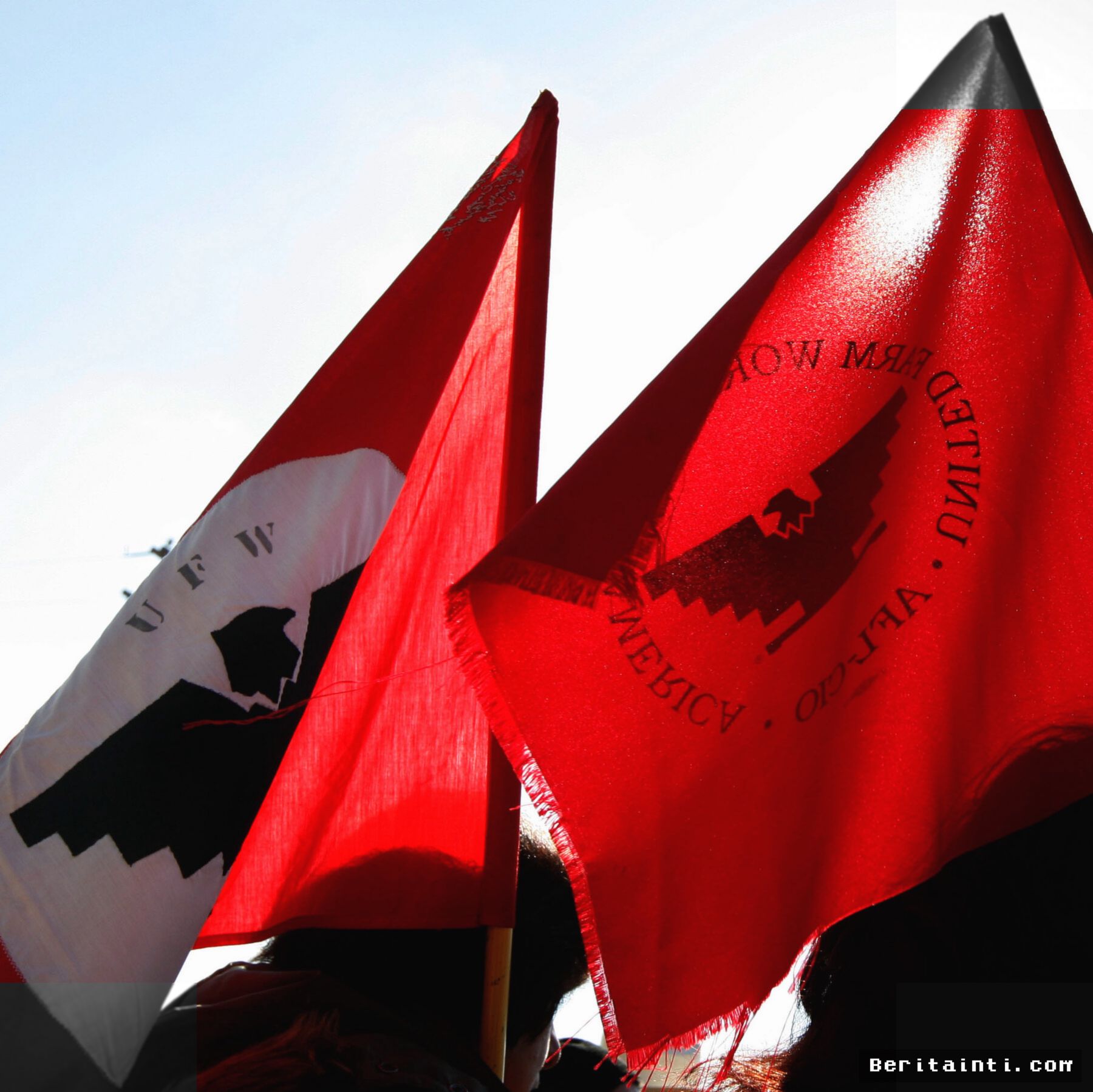 Dua Yayasan Cesar Chavez Digugat Atas Kelalaian Pengawasan Organisasi