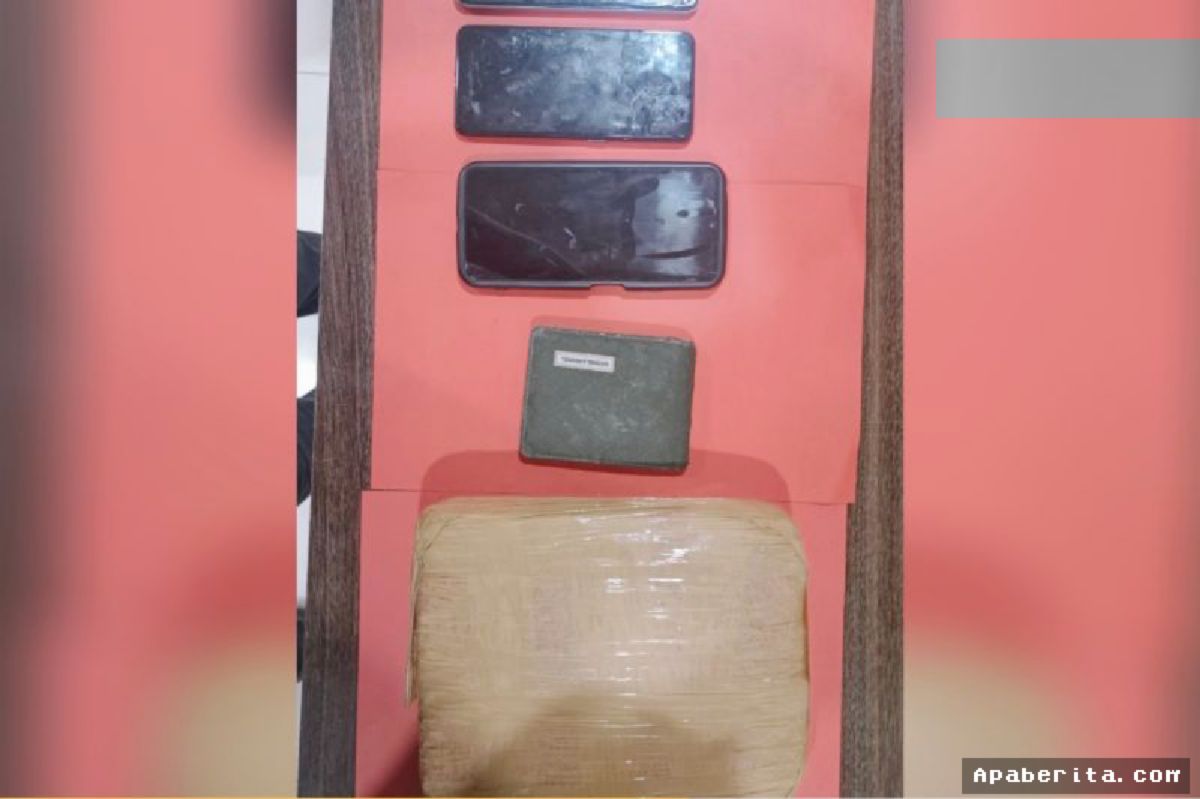 LAMPUNG — Polda Lampung Tangkap Tiga Pemuda dan Sita 1 Kg Ganja