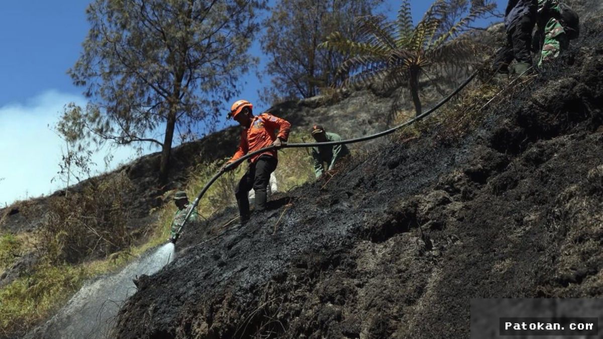 BNPB Perkuat Pemadaman Karhutla di Gunung Bromo dan Semeru