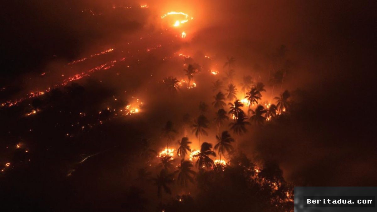 Pemerintah Berlakukan Hukuman Mati Perusak Hutan dan Insentif Pajak