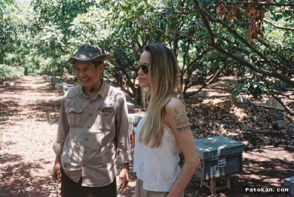 Kamboja — Angelina Jolie Berhasil Melestarikan Hutan Kamboja Selama Dua Dekade
