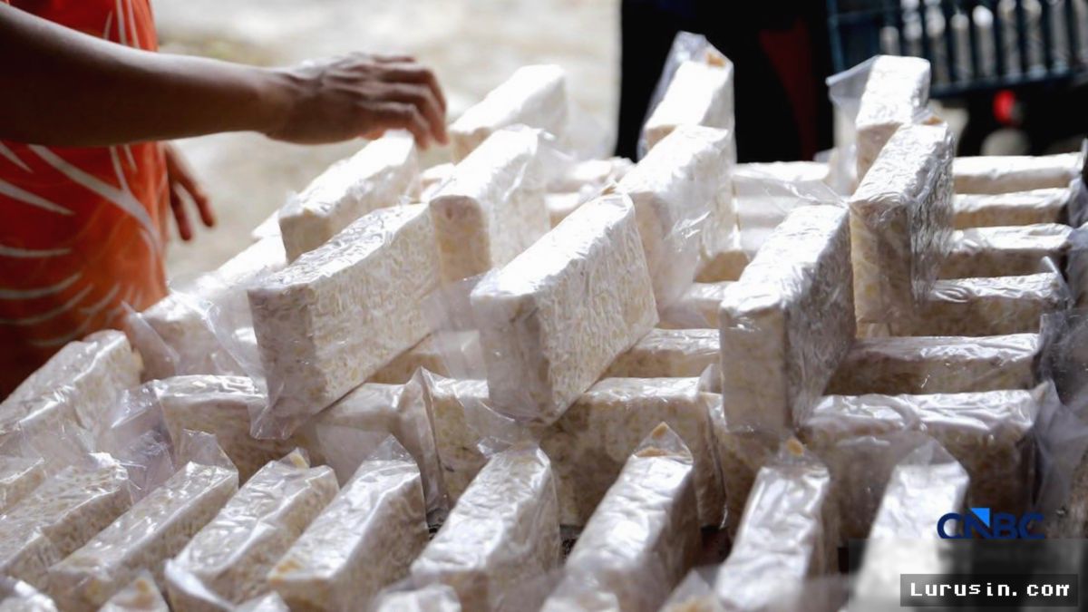 JAKARTA — Kedelai Impor Melonjak, Perajin Tahu Tempe Terancam Gulung Tikar